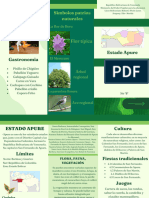 Estado Apure Triptico