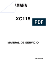 Manual de Servicio Ray Z