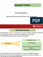 AULA 2-Adaptação+celular