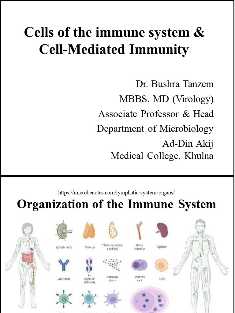 Overview of Cell-Mediated Immunity | PDF | T Helper Cell | T Cell