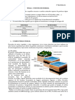 Tema 2 Fontes de Enerxia