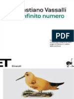 Un Infinito Numero - VASSALLI