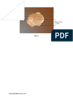 Cell Division, Cell Diversity & Cellular Organisation 2 QP