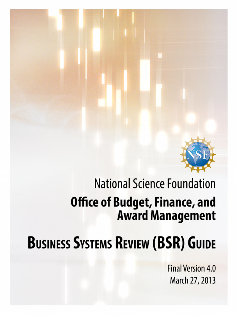 American Business System Review PDF National Science Foundation Audit