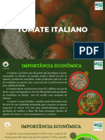 Tomate Compressed