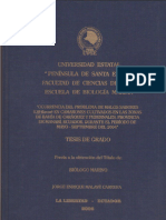 MALAVE CARRERA JORGE-2006 (1)