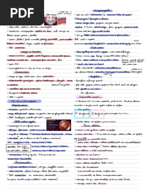 GoodNotes 7