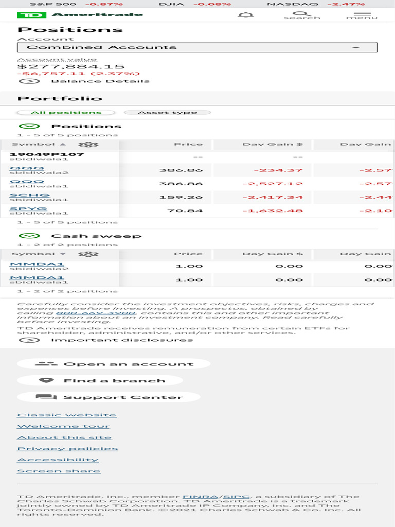 TD Ameritrade Positions PDF