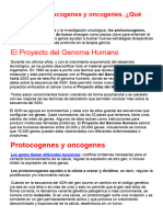 Genes Protooncogenes y Oncogenes