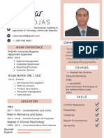 Professional Cv Resume