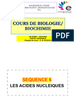 Sequence 6 - Les Acides Nucleiques
