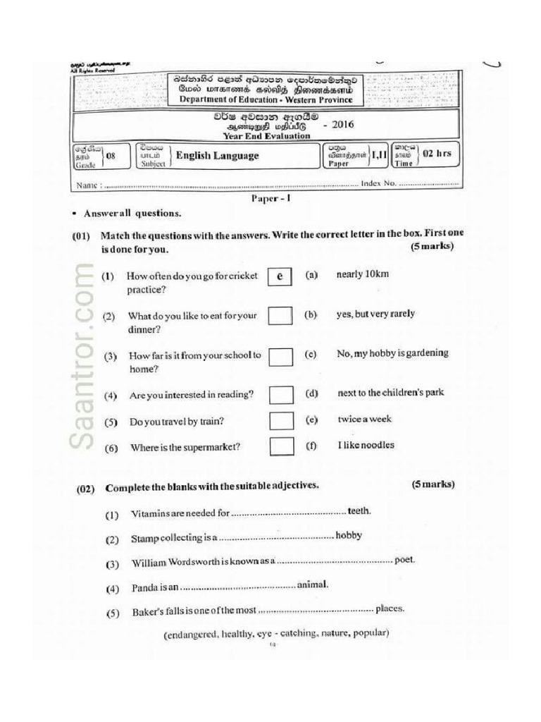 English grade 8 third term 2016 western province pdf