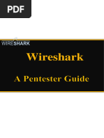 Wireshark Pentesting Guide 1706402176