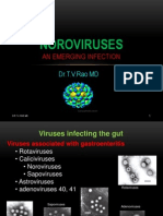 Noroviruses: An Emerging Infection