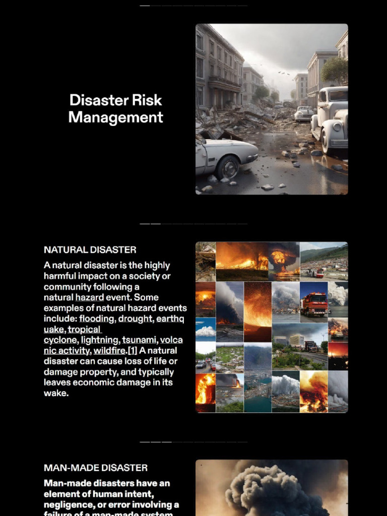 Disaster Risk Management | PDF