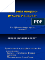 6. Опорно-рухова Анатомія