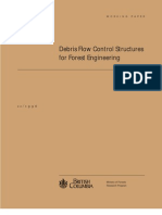 Debris Flow Control Structure