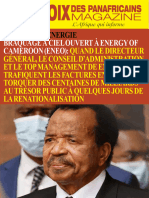 Braquage À Ciel Ouvert À Energy of Cameroon (Eneo)