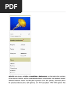 Download Jellyfish by Welkom Biologyproject SN70348305 doc pdf
