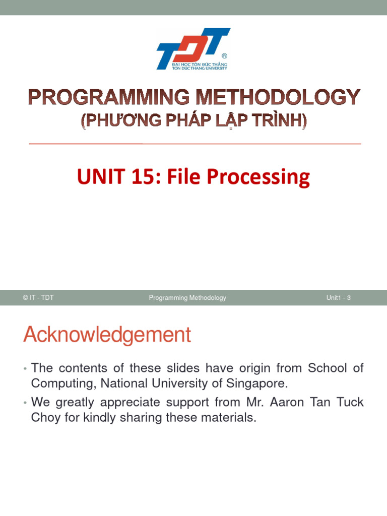 C15 File Processing | PDF