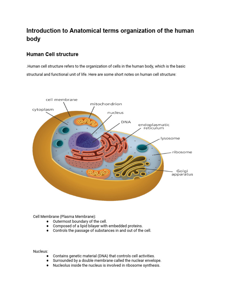 ANATOMY AND PHYSIOLOGY PICTURES PDF visual data 6