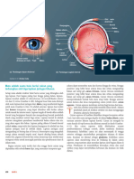 Sherwood S Introduction To Human Physiology 8th Ed