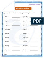 G1 English Singular Plural 248