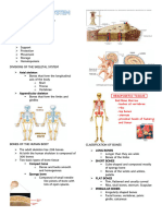 A.S.a - The Skeletal System