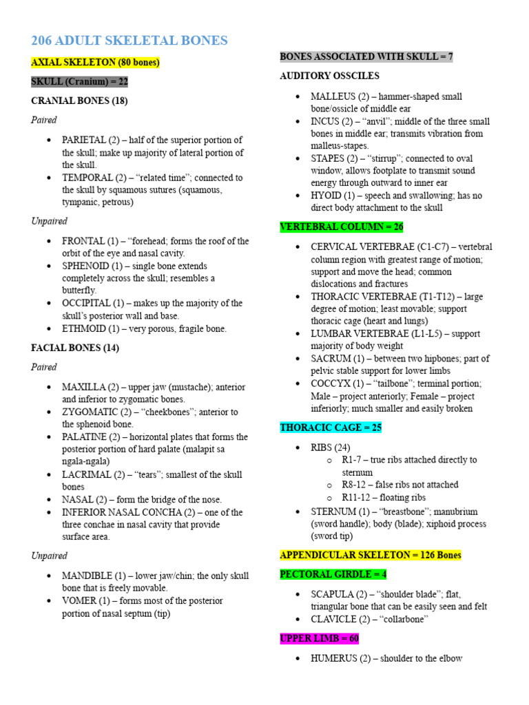 Overview of 206 Adult Skeletal Bones | PDF | Skull | Hand