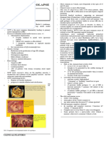 Mitral Valve Prolapse