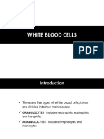 White Blood Cell Physiology and Function - 030621