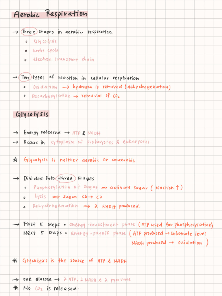 STPM Bio Sem 1 Chapter 5 | PDF