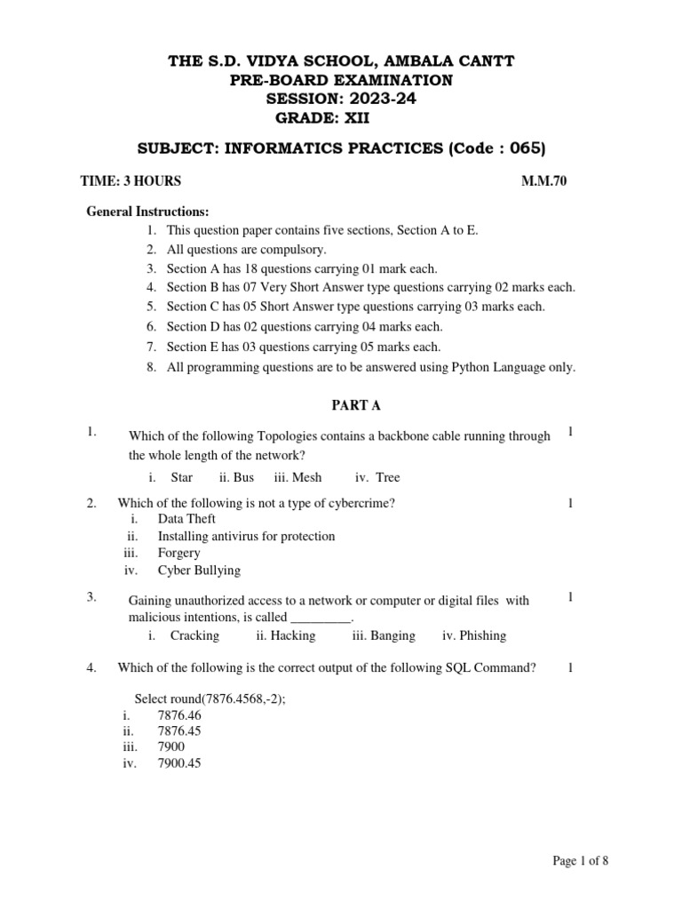 InformaticsPractices PRE BOARD23 24 | PDF | Computing | Information ...