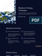 Blueberry Pruning Techniques