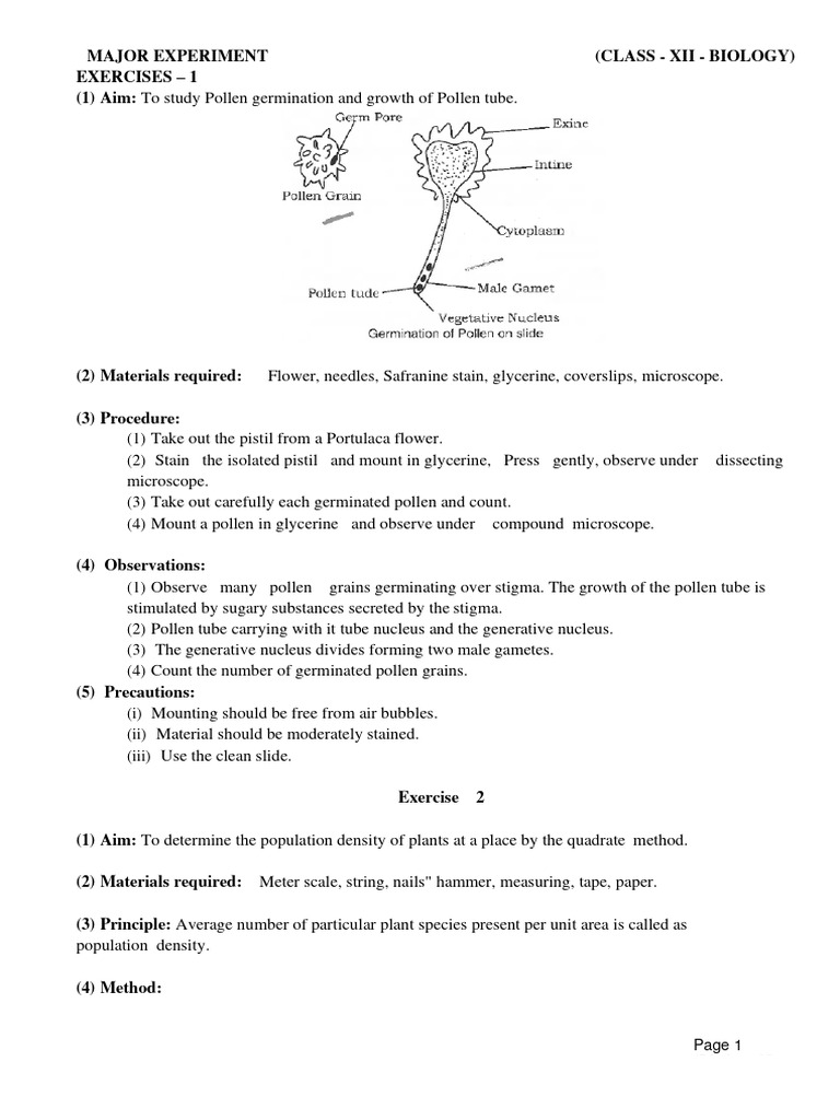 Pollen Germination Study for Class 12 | PDF | Meiosis | Ovary