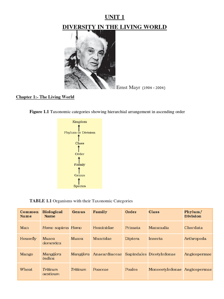 Unit - 1 | PDF