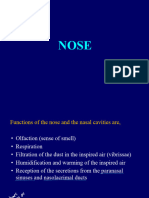 02 The Nose and The Associated Structures