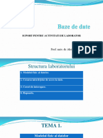 Baze de Date Laborator Tema 1