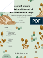 Fabricació I Aplicacions D'una Cel La Energètica Basada en El Miceli