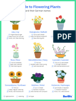 Berlitz Blog Downloadables German Flowers Poster