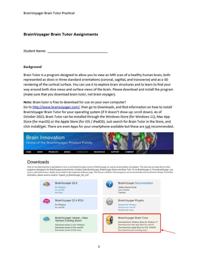 BrainVoyager Tutor: MRI Brain Exercises | PDF | Cerebral Cortex ...