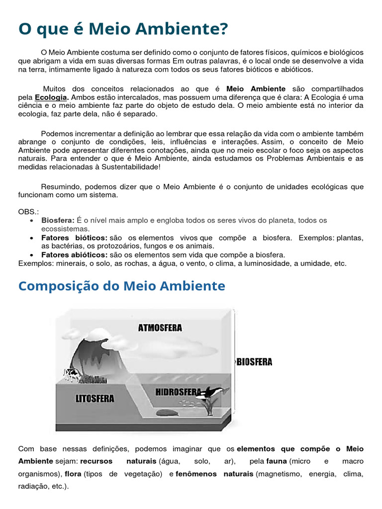 O Que É Meio Ambiente | PDF