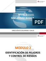 1.2 IDENTIFICACIαN DE PELIGROS Y CONTROL DE RIESGOS 2019