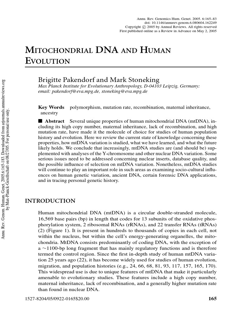 Mitochondrial Dna and Human Evolution 1pyey62qw6 | PDF | Science ...