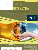 Storyboard - SGD 13:CLIMATE ACTION