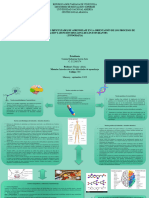 583 - Trabajo Practico 2 Objetivo III.2 (INFOGRAFIA)