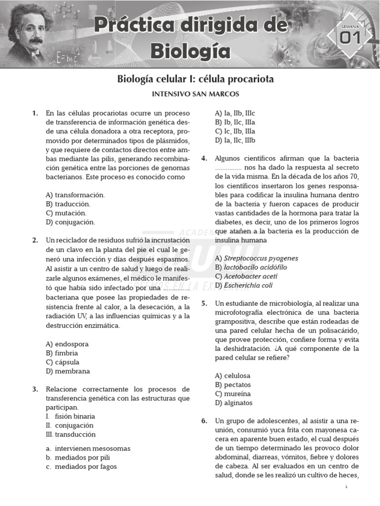 Práctica de Biología Procariota | PDF | Las bacterias | Archaea