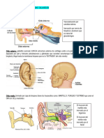 Tema 4 Dolor de Oido