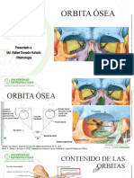 Orbita Ósea y Globo Ocular