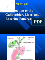 PP03L036_ Intro to the Gallbladder Liver or Exocrine Pancreas